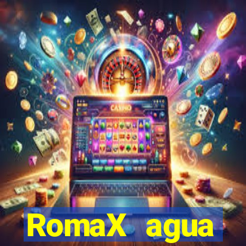 RomaX agua sanitaria fispq agua sanitaria romax